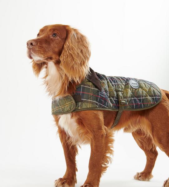 Quilted Coat with Cord Collar and Velcro Fastening