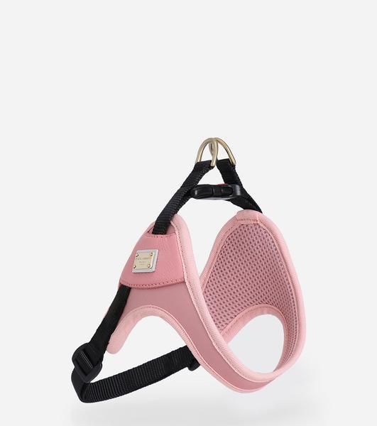 Harness