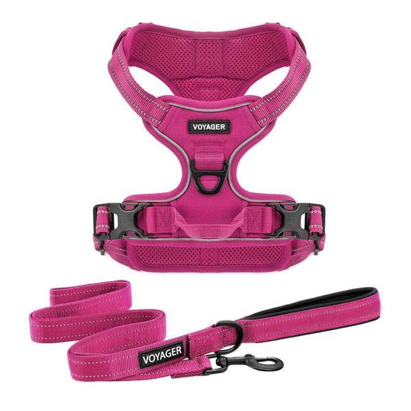 Dual-Attachment Harness Leash Set