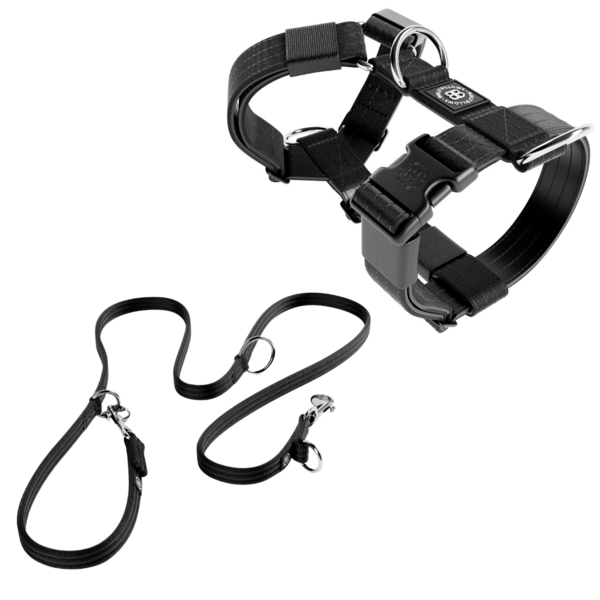 Tri Harness And Training Lead Bundle Black