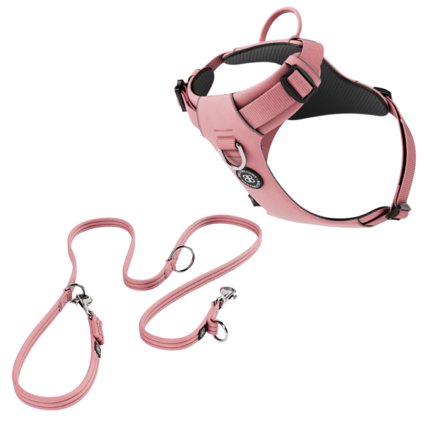 Air Harness And Training Lead Bundle Pink