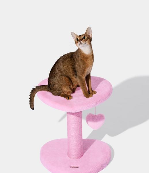 Heartpurrink Climber