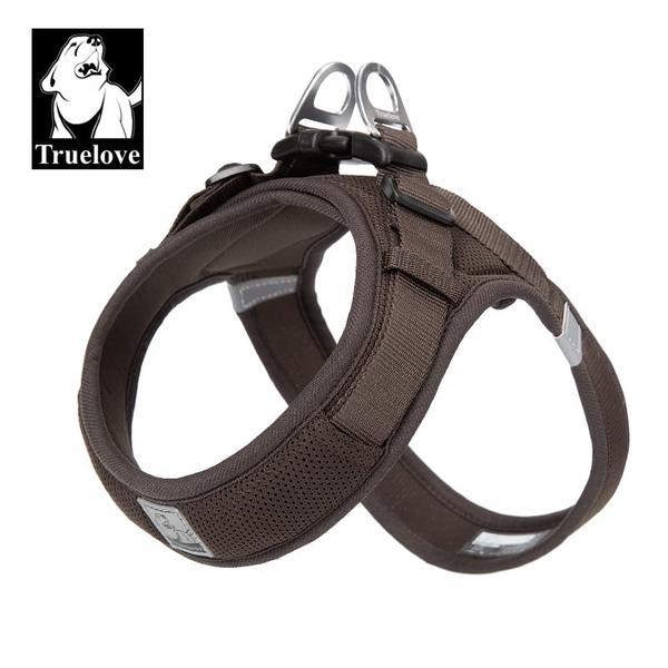 Mesh Harness