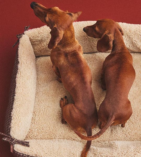 Check Pet Bed With Faux Shearling And Matching Cushion