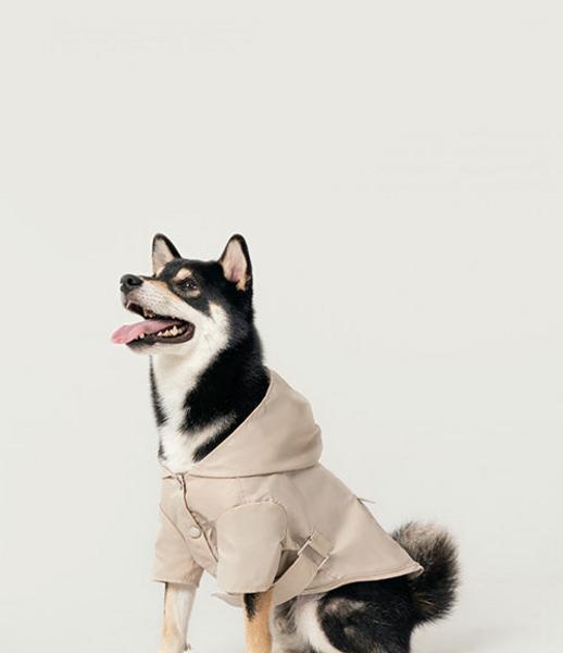 Bowery Raincoat