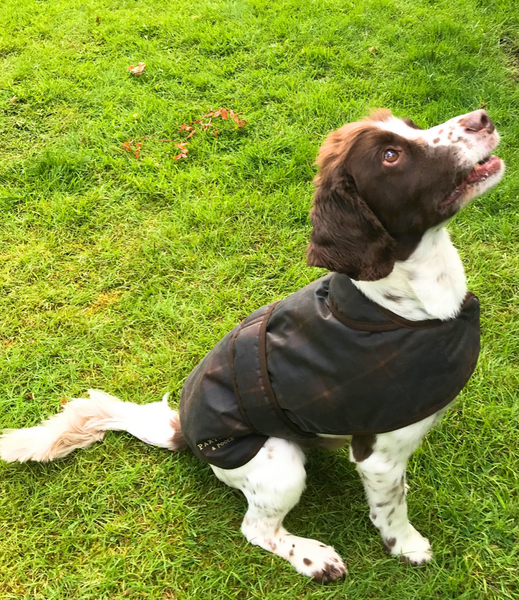 Hunter Check Wax Coat