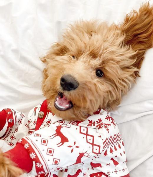 Festive Holiday Pajama