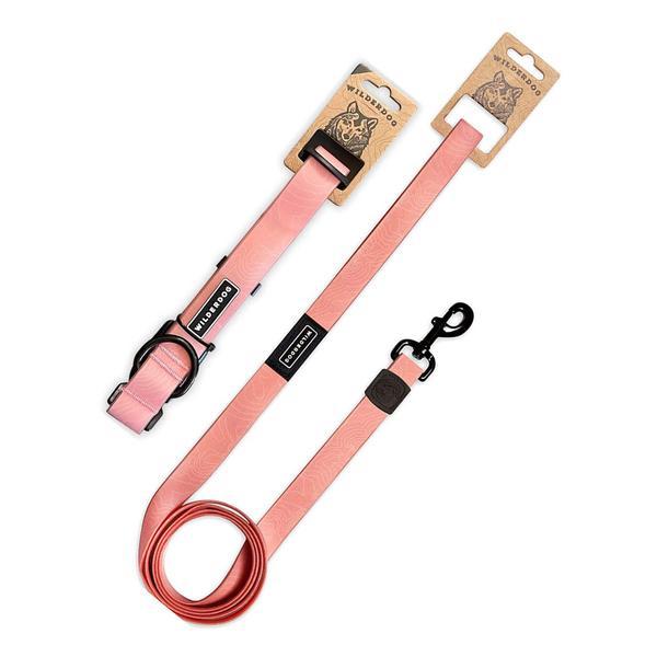 Waterproof Leash and Collar Bundle