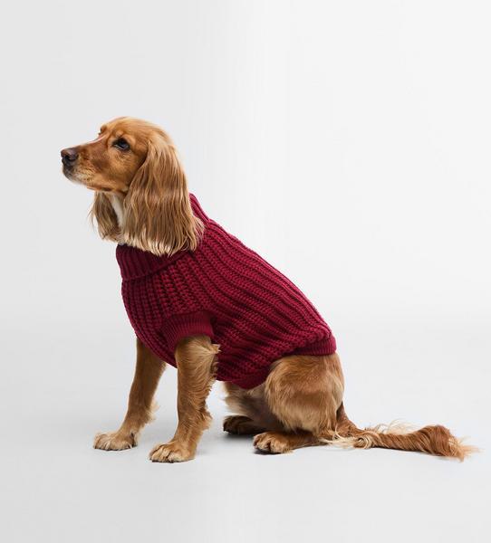 Saltburn Jumper