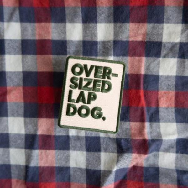 Oversized Merit Badge