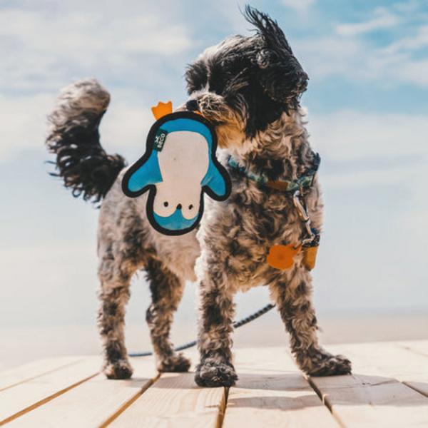 Plush Penguin Toy