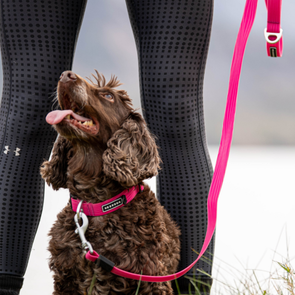 Stink-Proofed Waterproof Lead
