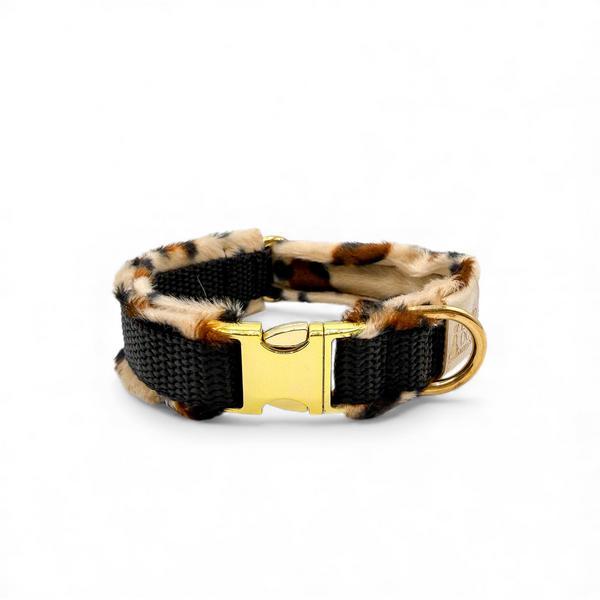 Fluffy Deluxe Leo Collar