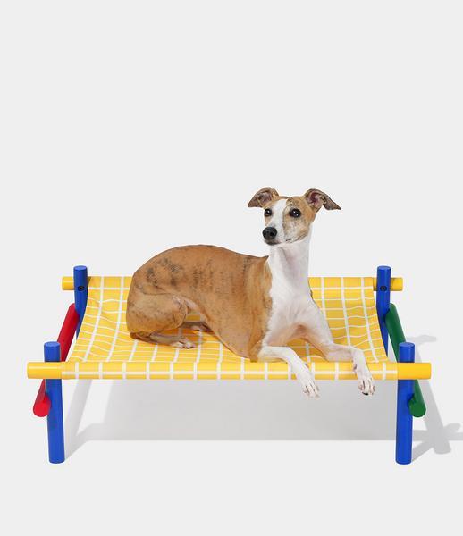 Chroma Pet Bed