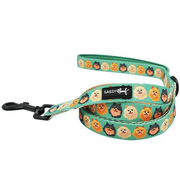 Leash With Padded Handle