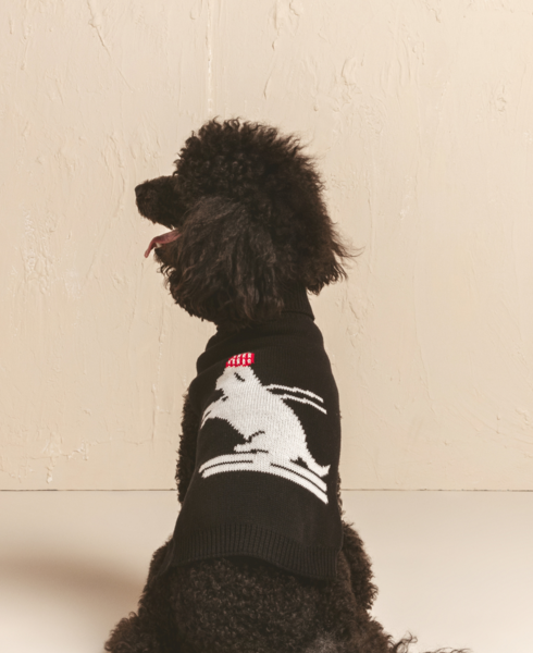Pet Knit Water-Resistant Sweater
