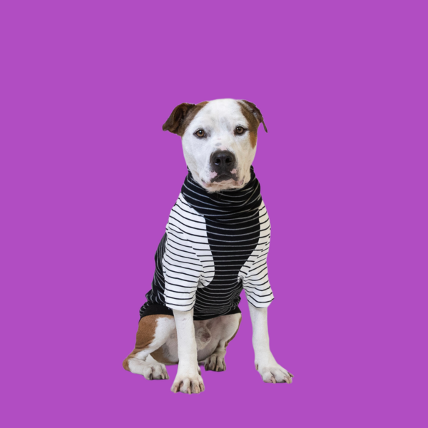 Charlie Organic Baseball Tee