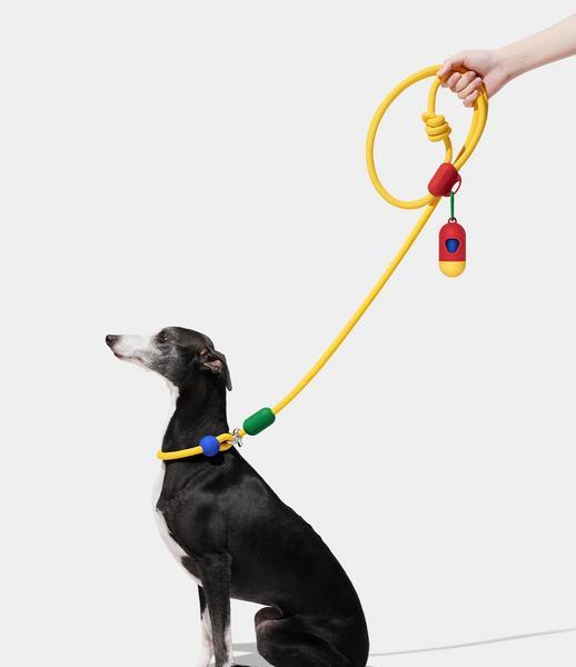 Connect Walk Kit Chroma