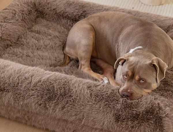 Soft Snuggly Fur Cover