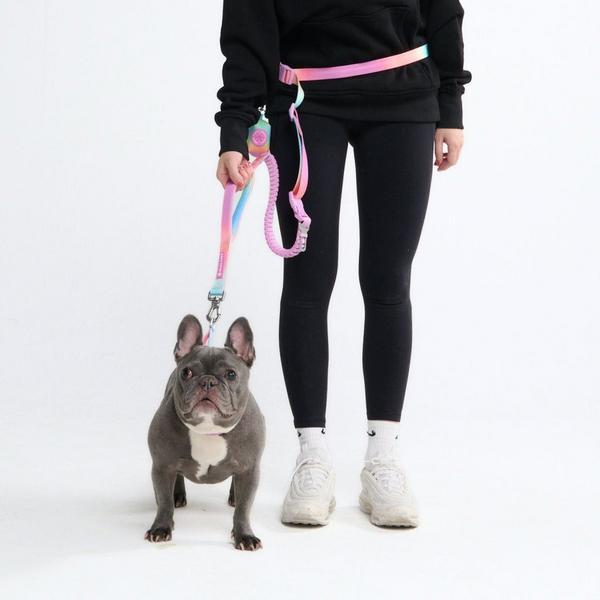 Multipurpose Seatbelt Handsfree Leash And Poop Bag Holder Set