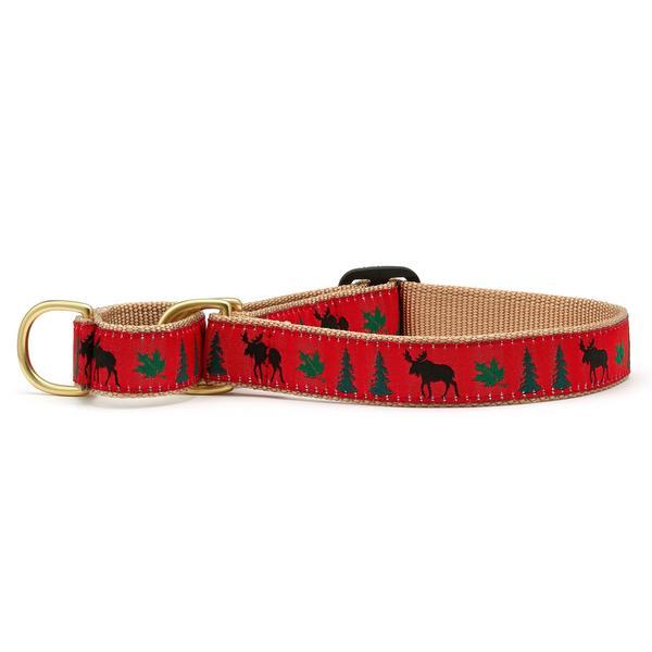 Martingale Collar