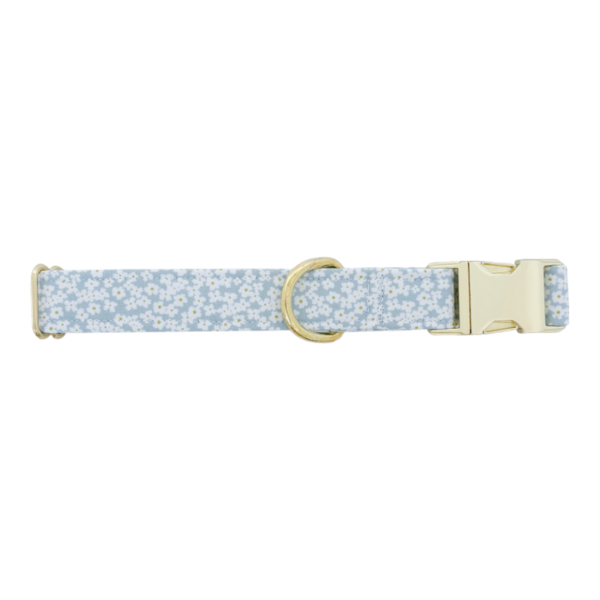 Blue Flowers Collar