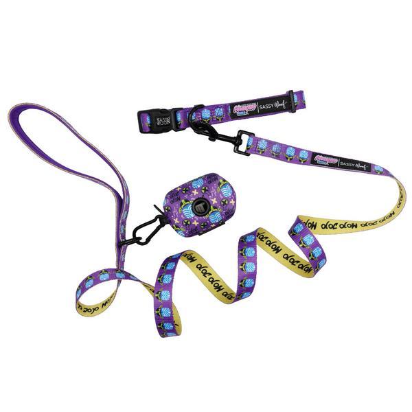 Three Piece Collar Bundle