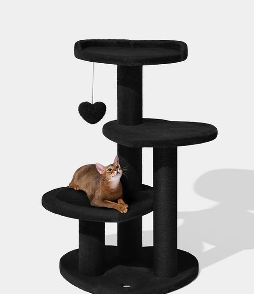 Heartpurrnoir Climber