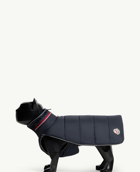 Tricolor Trimmed Padded Vest