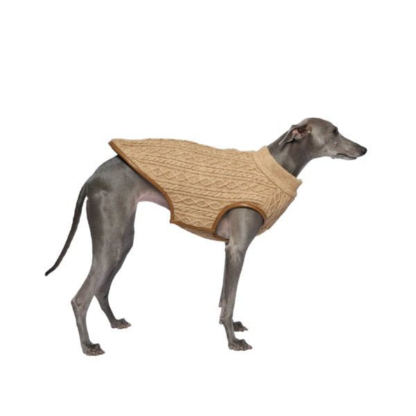 Ribbed Knit Vest with Leather Trim
