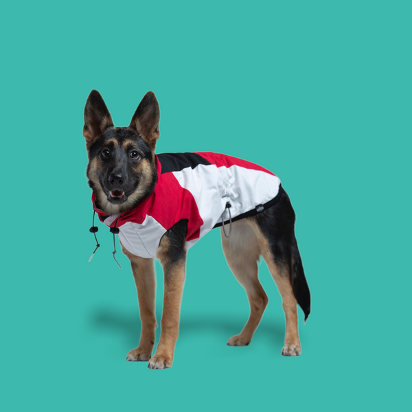 Water Resistant Windbreaker