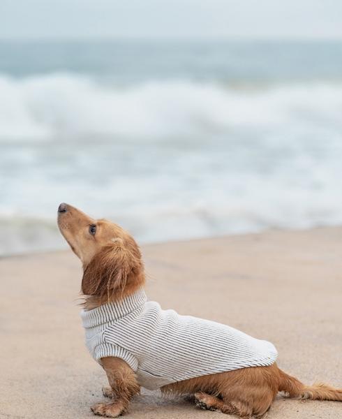 Vivienne Sleeveless Turtleneck Sweater