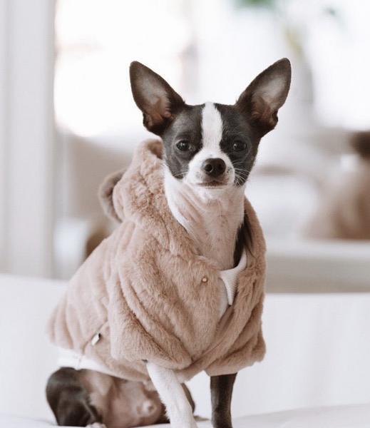 Signature Fur Coat