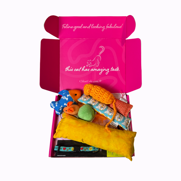 Rescue Breakaway Collar With Catnip Toys Collection