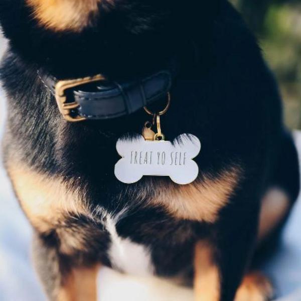 Treat Yo Self Collar Charm White