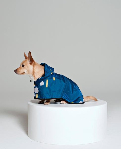 Japanese Blossom Poncho