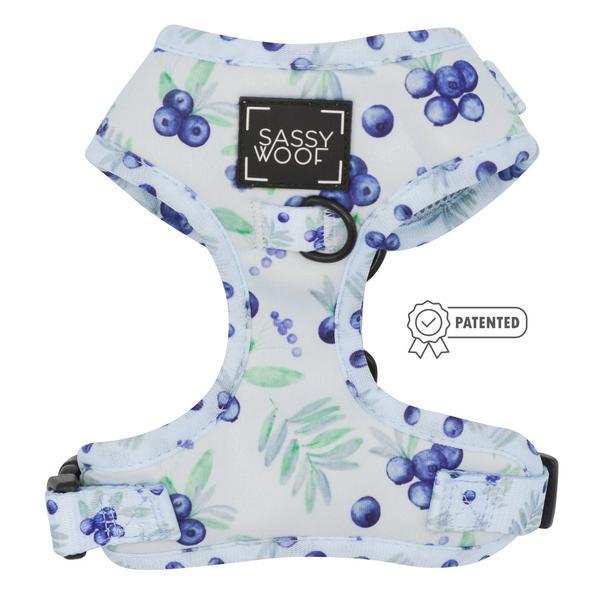 Adjustable Harness - Berry Sassy