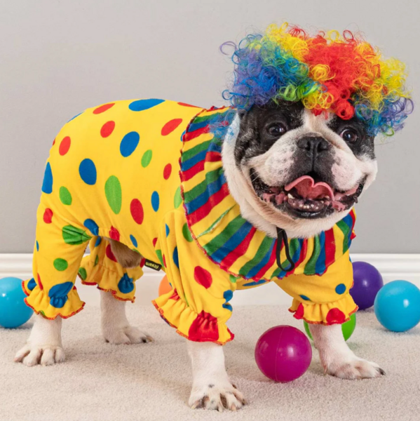 Halloween Clown Costume
