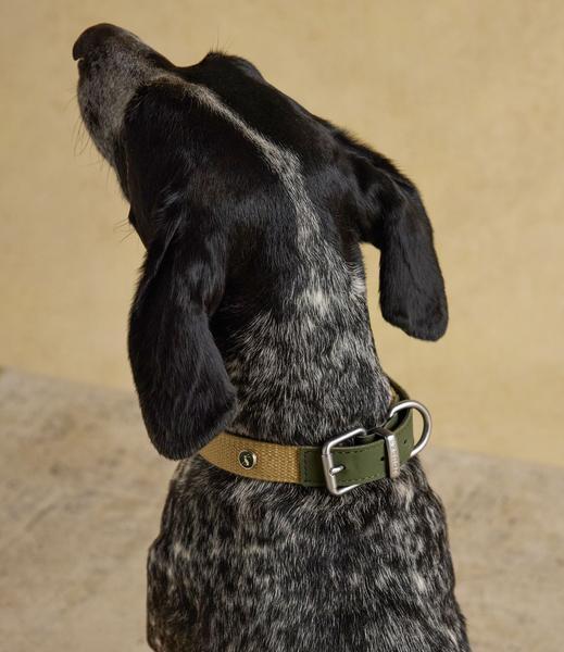 Khaki Green Leather Collar