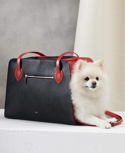 Pet Carrier Bag