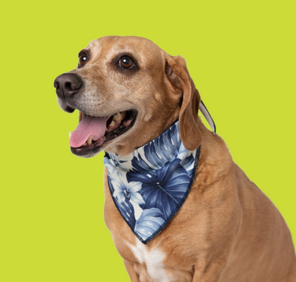 Tropical Leaves Bandana