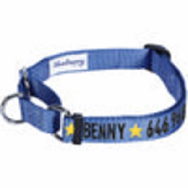 Nylon Personalized Martingale Safety Training Collar