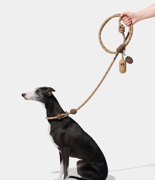 Connect Walk Kit
