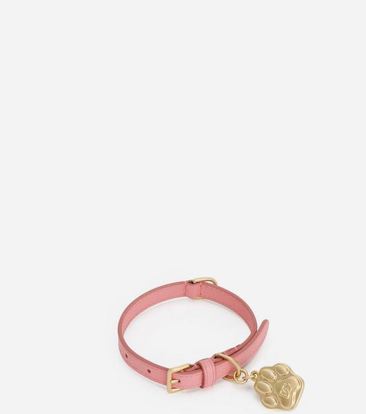 Collar decorated with sparkling paws