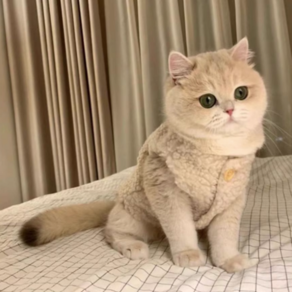 Classic Fleece Jacket