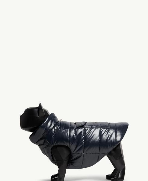 Padded Vest With Leash Opening