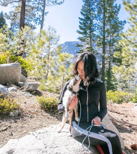 Magic Link Hands-Free Leash