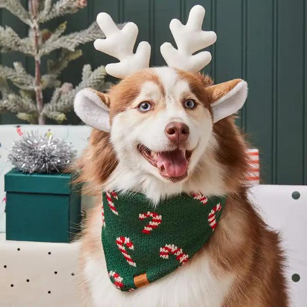 Candy Cane Knit Bandana