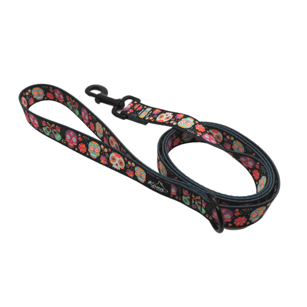 Webbing Leash with Rust-Proof Hardware