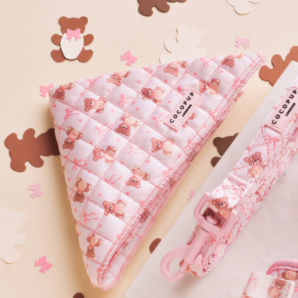 Quilted Teddy Bandana